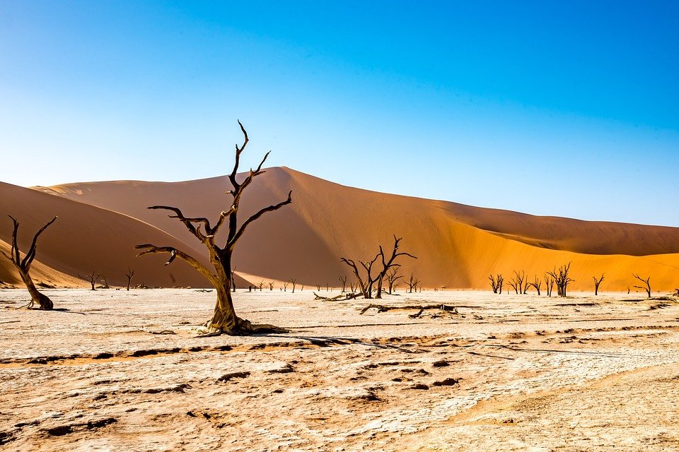 4 Days Marrakech To Sahara Desert Tour